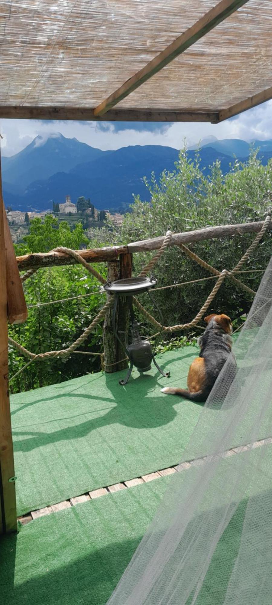 La Fatina Lodge Barga Exterior foto